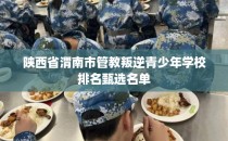 陕西省渭南市管教叛逆青少年学校排名甄选名单