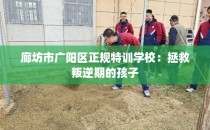 廊坊市广阳区正规特训学校：拯救叛逆期的孩子