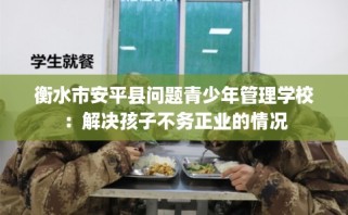 衡水市安平县问题青少年管理学校：解决孩子不务正业的情况