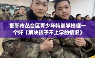 邯郸市丛台区青少年特训学校哪一个好（解决孩子不上学的情况）