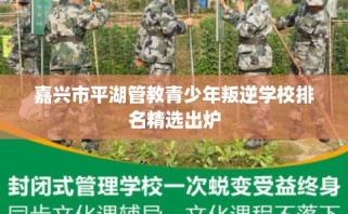 嘉兴市平湖管教青少年叛逆学校排名精选出炉