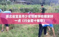 湖北省宜昌市少年管教学校哪家好一点(行业前十推荐)