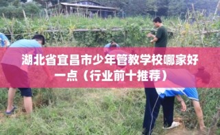 湖北省宜昌市少年管教学校哪家好一点（行业前十推荐）