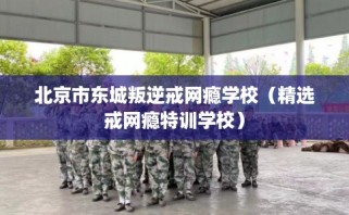 北京市东城叛逆戒网瘾学校（精选戒网瘾特训学校）