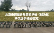 北京市西城青年管教学校(解决孩子沉迷手机的情况)