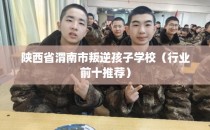 陕西省渭南市叛逆孩子学校(行业前十推荐)