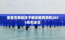 莱芜市莱城孩子叛逆教育学校2025排名速览