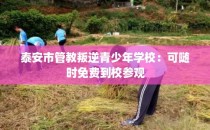 泰安市管教叛逆青少年学校：可随时免费到校参观