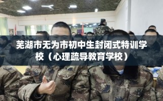芜湖市无为市初中生封闭式特训学校（心理疏导教育学校）