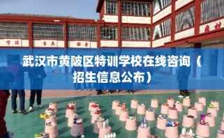 武汉市黄陂区特训学校在线咨询（招生信息公布）