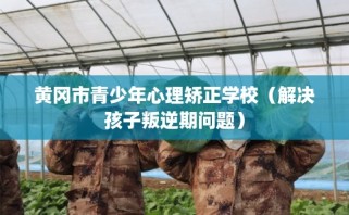 黄冈市青少年心理矫正学校（解决孩子叛逆期问题）