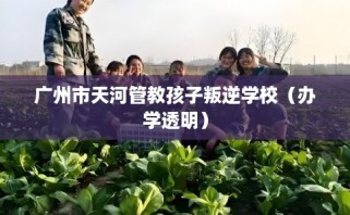 广州市天河管教孩子叛逆学校（办学透明）