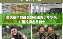 重庆市丰都县管教叛逆青少年学校：排行榜名单前十