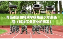 青岛市胶州特殊学校叛逆少年训练营（解决不务正业的情况）