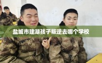 盐城市建湖孩子叛逆去哪个学校