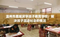 温州市鹿城厌学孩子教育学校：解决孩子混迹社会的情况