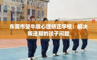 东莞市望牛墩心理矫正学校：解决叛逆期的孩子问题
