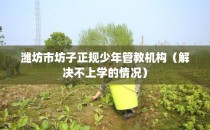 潍坊市坊子正规少年管教机构（解决不上学的情况）