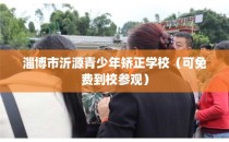 淄博市沂源青少年矫正学校（可免费到校参观）