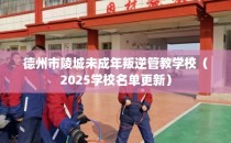 德州市陵城未成年叛逆管教学校（2025学校名单更新）