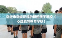 宿迁市宿城正规的叛逆孩子学校（心理疏导教育学校）