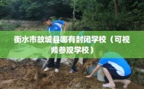 衡水市故城县哪有封闭学校（可视频参观学校）