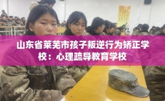 山东省莱芜市孩子叛逆行为矫正学校：心理疏导教育学校