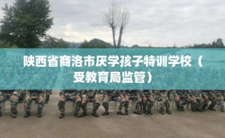 陕西省商洛市厌学孩子特训学校（受教育局监管）