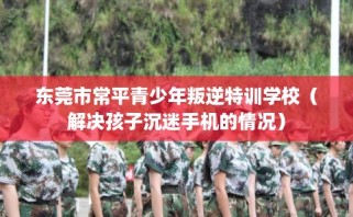 东莞市常平青少年叛逆特训学校（解决孩子沉迷手机的情况）