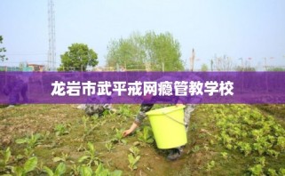 龙岩市武平戒网瘾管教学校