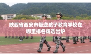 陕西省西安市叛逆孩子教育学校在哪里排名精选出炉