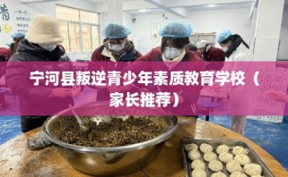 宁河县叛逆青少年素质教育学校（家长推荐）