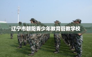 辽宁市朝阳青少年教育管教学校