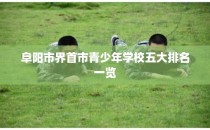 阜阳市界首市青少年学校五大排名一览