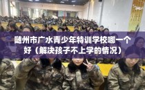 随州市广水青少年特训学校哪一个好（解决孩子不上学的情况）