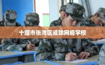 十堰市张湾区戒除网瘾学校