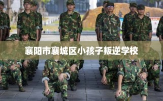 襄阳市襄城区小孩子叛逆学校