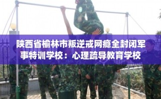 陕西省榆林市叛逆戒网瘾全封闭军事特训学校：心理疏导教育学校