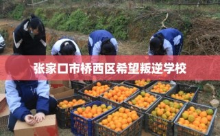 张家口市桥西区希望叛逆学校