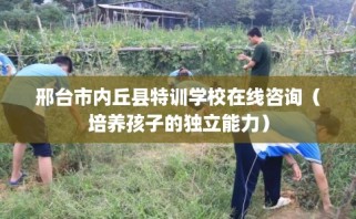 邢台市内丘县特训学校在线咨询（培养孩子的独立能力）