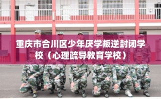 重庆市合川区少年厌学叛逆封闭学校（心理疏导教育学校）