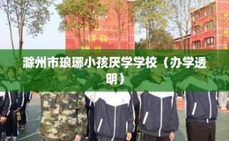 滁州市琅琊小孩厌学学校（办学透明）