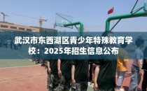 武汉市东西湖区青少年特殊教育学校：2025年招生信息公布
