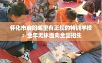 怀化市麻阳哪里有正规的特训学校：全年无休面向全国招生