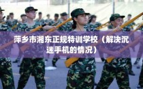 萍乡市湘东正规特训学校（解决沉迷手机的情况）