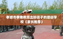 孝感市孝南教育出好孩子的培训学校（家长推荐）
