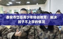 泰安市岱岳青少年特训教育：解决孩子不上学的情况