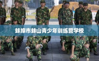 蚌埠市蚌山青少年训练营学校