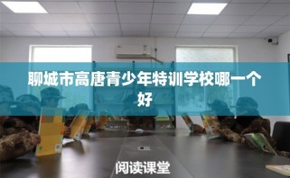 聊城市高唐青少年特训学校哪一个好
