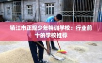 镇江市正规少年特训学校：行业前十的学校推荐